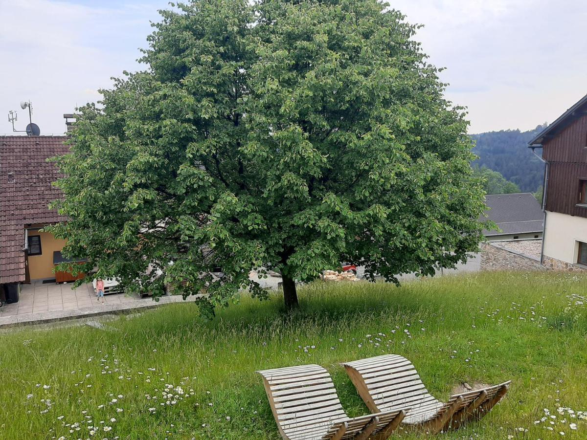 Na Buďárce Paseky nad Jizerou Kültér fotó